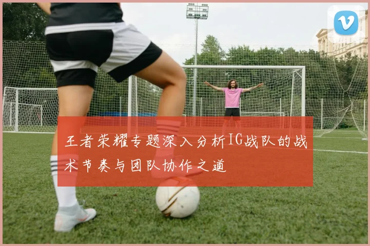 王者荣耀专题深入分析IG战队的战术节奏与团队协作之道
