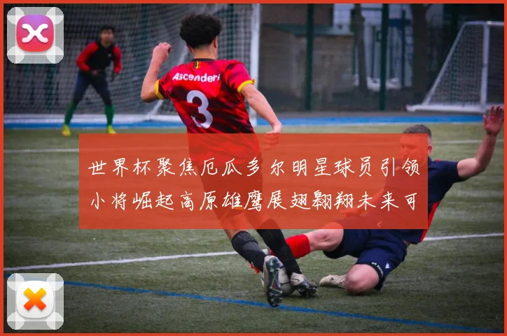 世界杯聚焦厄瓜多尔明星球员引领小将崛起高原雄鹰展翅翱翔未来可期