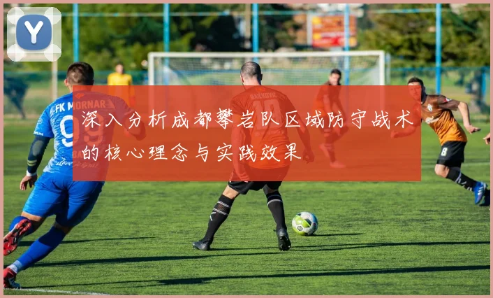 深入分析成都攀岩队区域防守战术的核心理念与实践效果